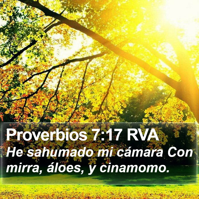 Proverbios 7:17 RVA Bible Study