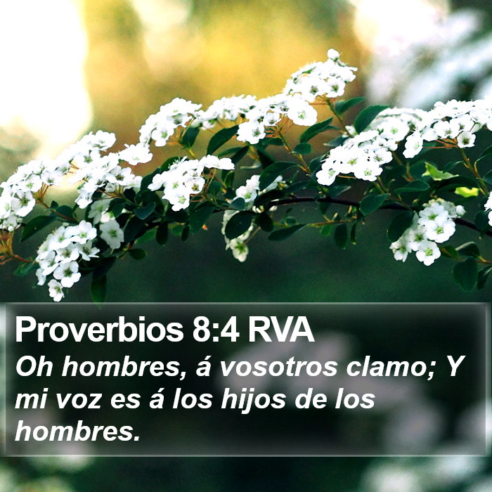 Proverbios 8:4 RVA Bible Study