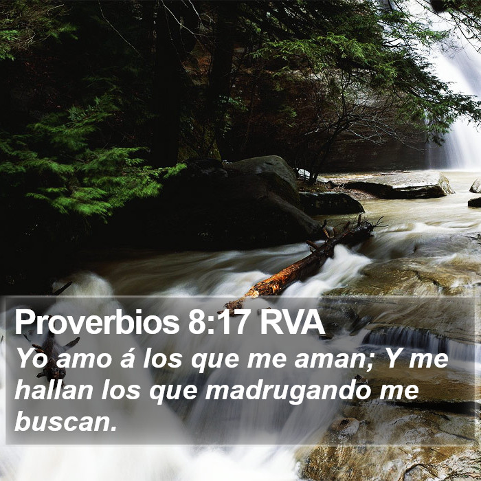 Proverbios 8:17 RVA Bible Study