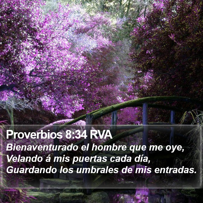 Proverbios 8:34 RVA Bible Study