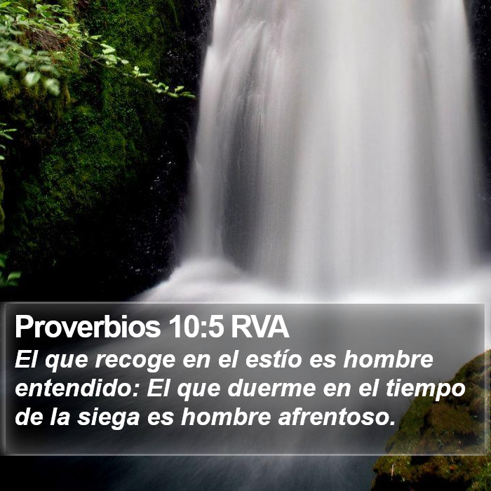 Proverbios 10:5 RVA Bible Study