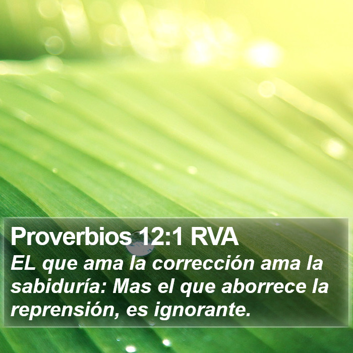 Proverbios 12:1 RVA Bible Study