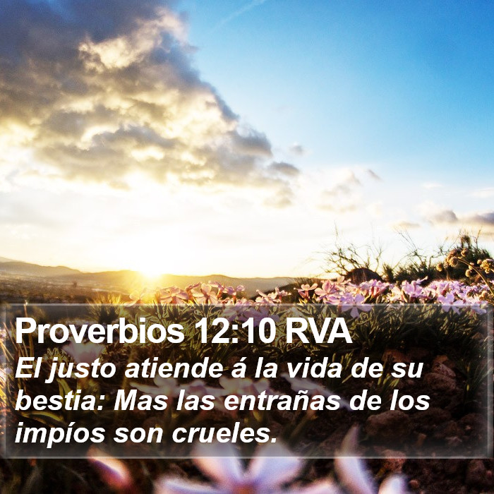 Proverbios 12:10 RVA Bible Study