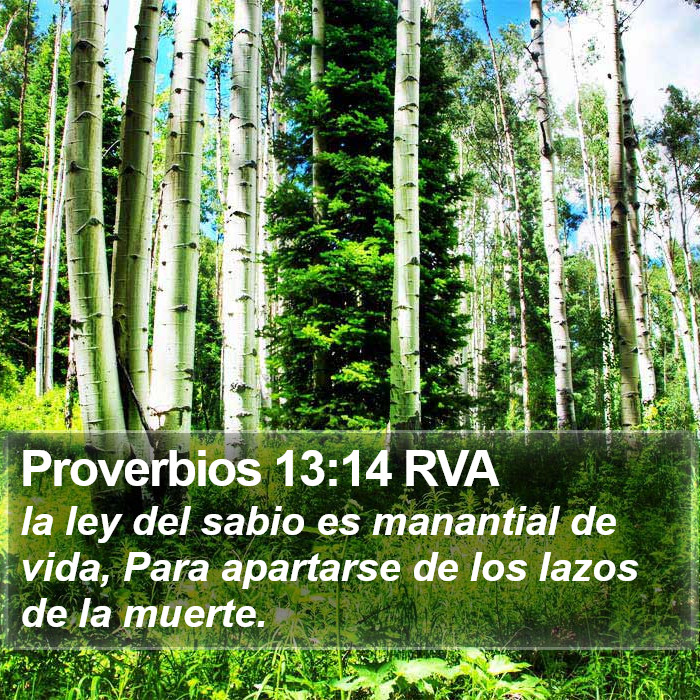 Proverbios 13:14 RVA Bible Study