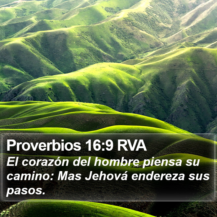 Proverbios 16:9 RVA Bible Study