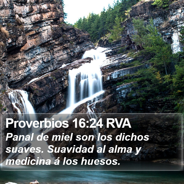 Proverbios 16:24 RVA Bible Study