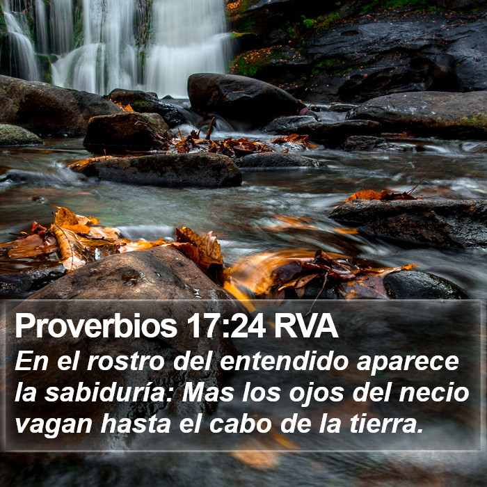 Proverbios 17:24 RVA Bible Study