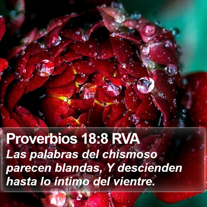 Proverbios 18:8 RVA Bible Study