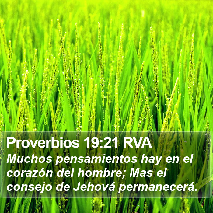 Proverbios 19:21 RVA Bible Study