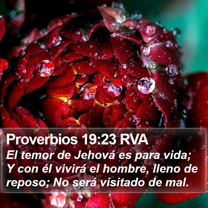 Proverbios 19:23 RVA Bible Study