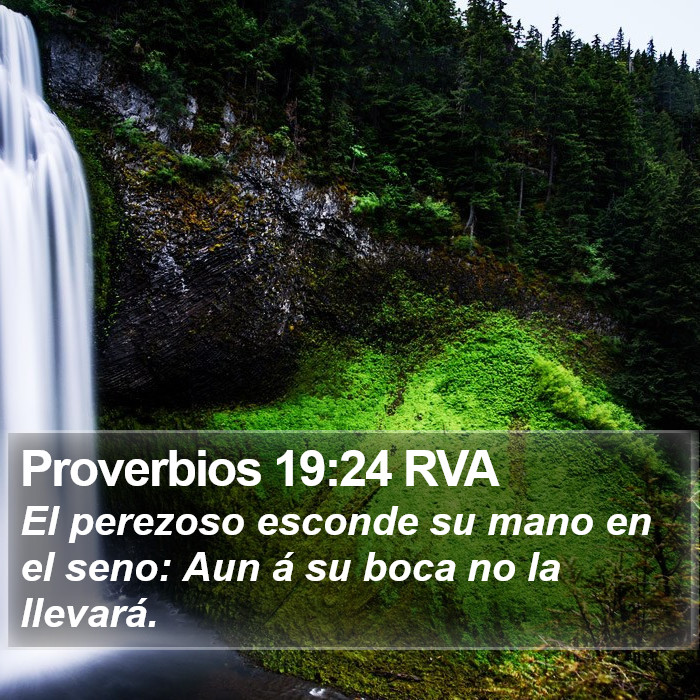 Proverbios 19:24 RVA Bible Study