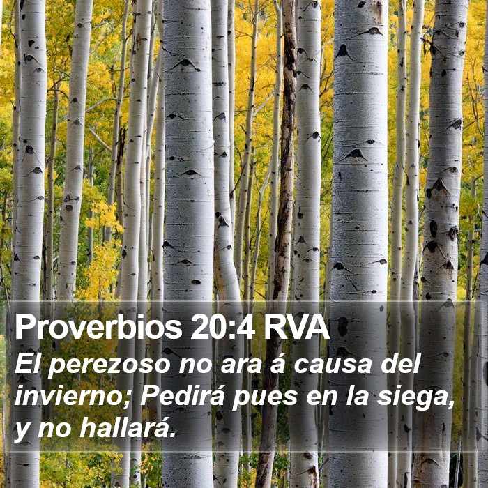 Proverbios 20:4 RVA Bible Study