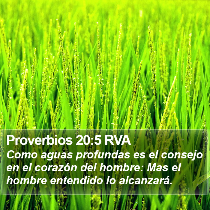 Proverbios 20:5 RVA Bible Study