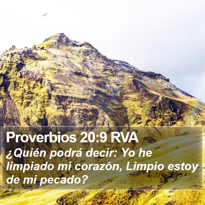 Proverbios 20:9 RVA Bible Study