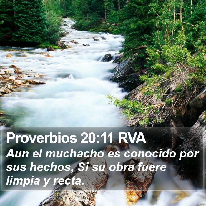 Proverbios 20:11 RVA Bible Study