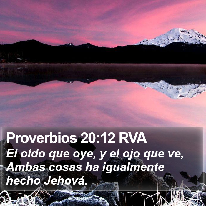 Proverbios 20:12 RVA Bible Study