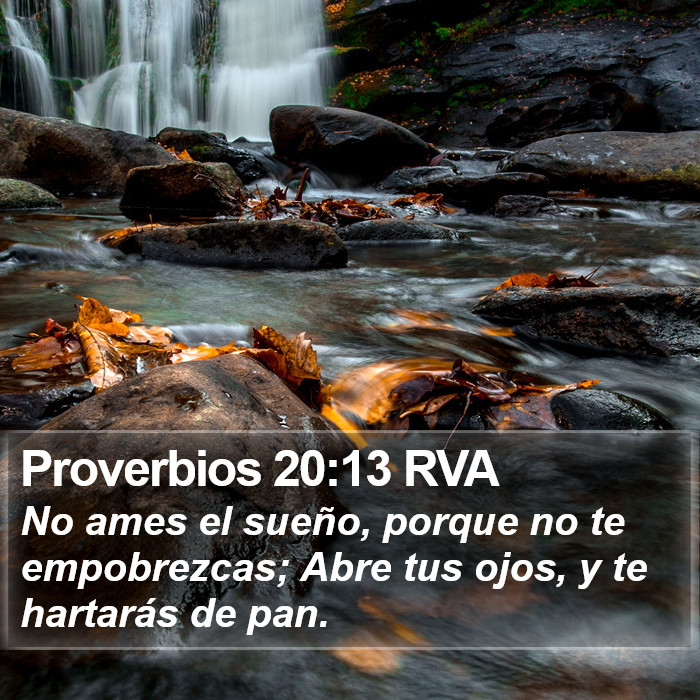 Proverbios 20:13 RVA Bible Study