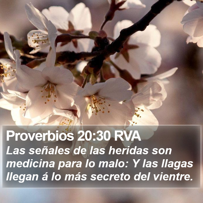 Proverbios 20:30 RVA Bible Study