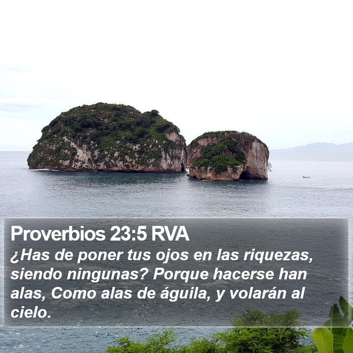 Proverbios 23:5 RVA Bible Study