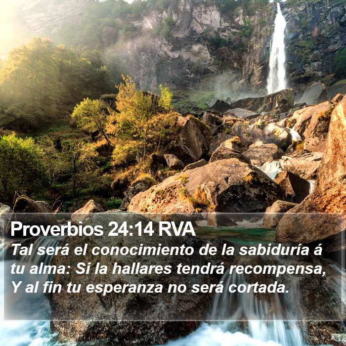 Proverbios 24:14 RVA Bible Study