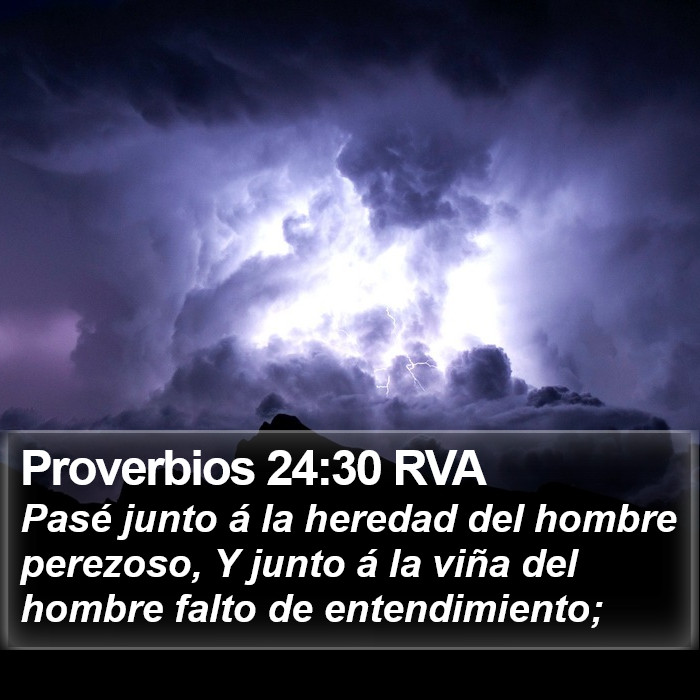 Proverbios 24:30 RVA Bible Study