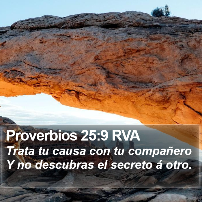 Proverbios 25:9 RVA Bible Study