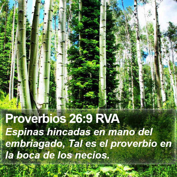 Proverbios 26:9 RVA Bible Study