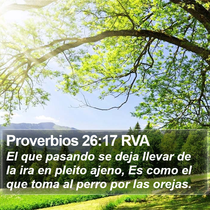 Proverbios 26:17 RVA Bible Study