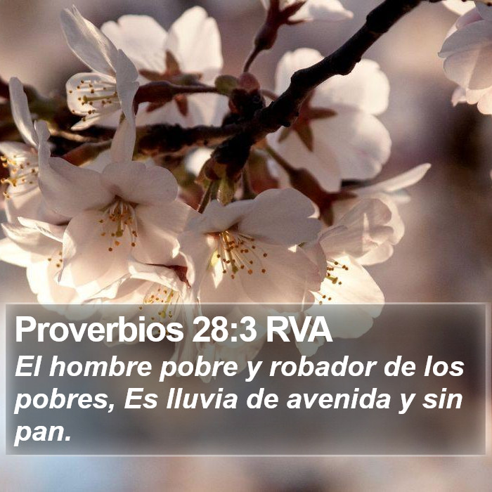 Proverbios 28:3 RVA Bible Study