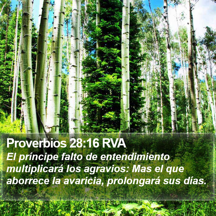 Proverbios 28:16 RVA Bible Study