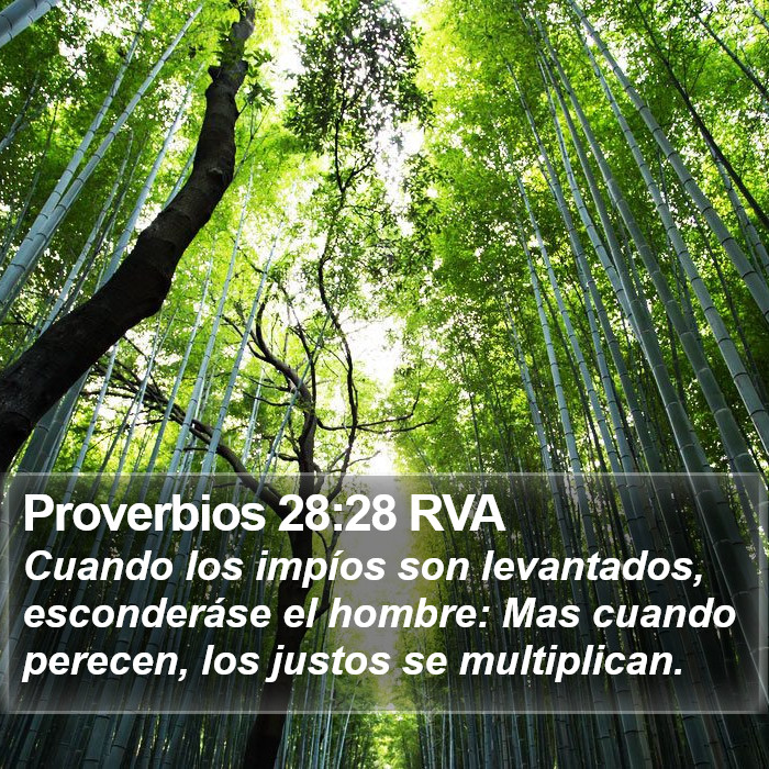 Proverbios 28:28 RVA Bible Study