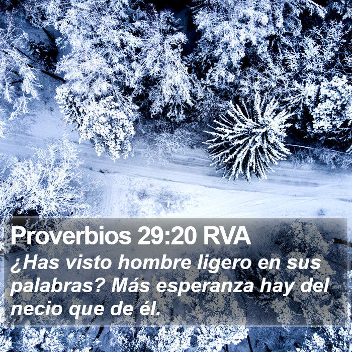 Proverbios 29:20 RVA Bible Study