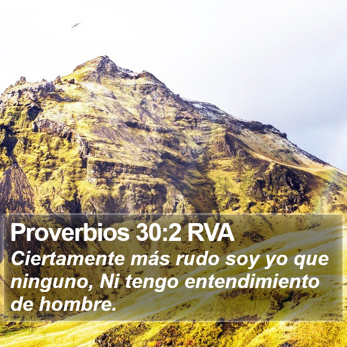 Proverbios 30:2 RVA Bible Study