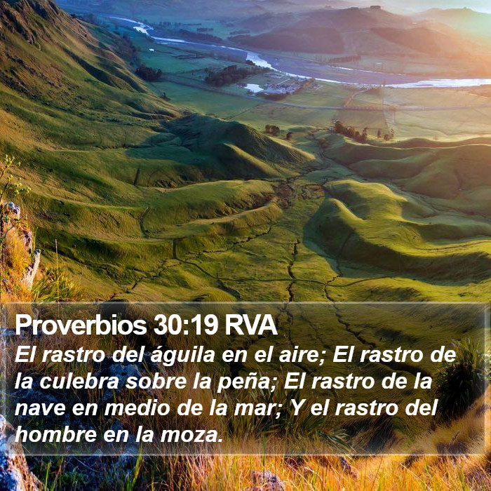 Proverbios 30:19 RVA Bible Study