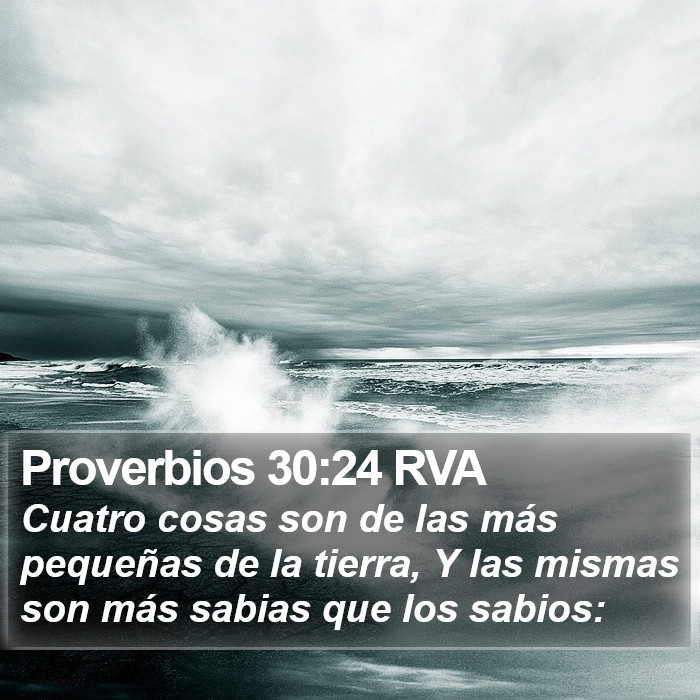 Proverbios 30:24 RVA Bible Study