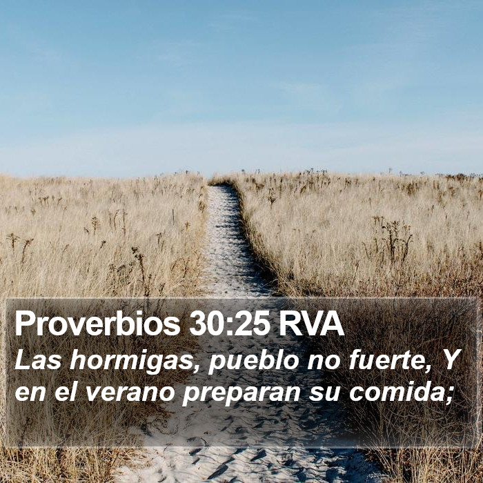 Proverbios 30:25 RVA Bible Study