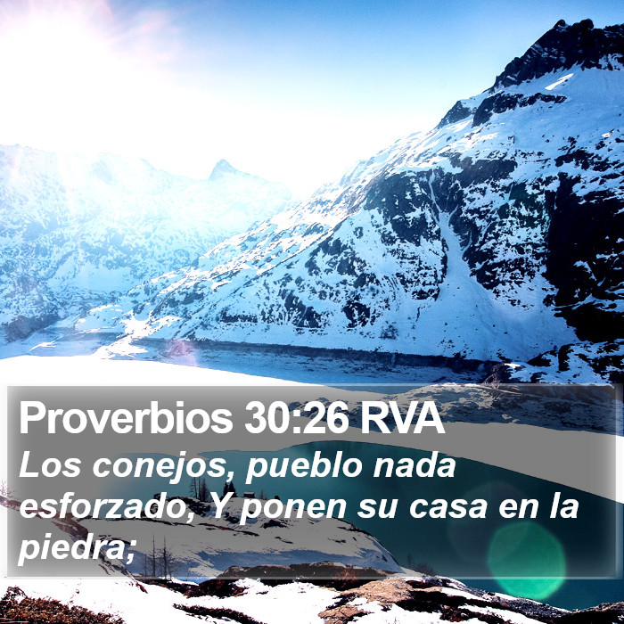 Proverbios 30:26 RVA Bible Study