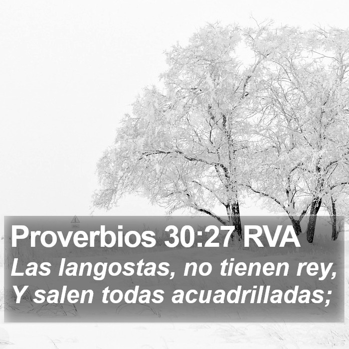 Proverbios 30:27 RVA Bible Study