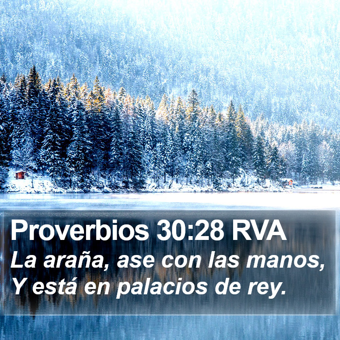 Proverbios 30:28 RVA Bible Study