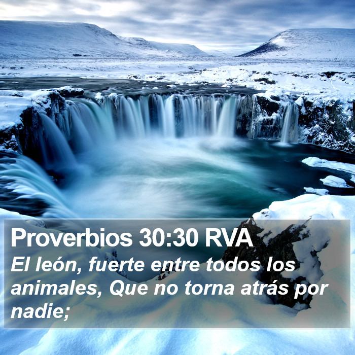 Proverbios 30:30 RVA Bible Study