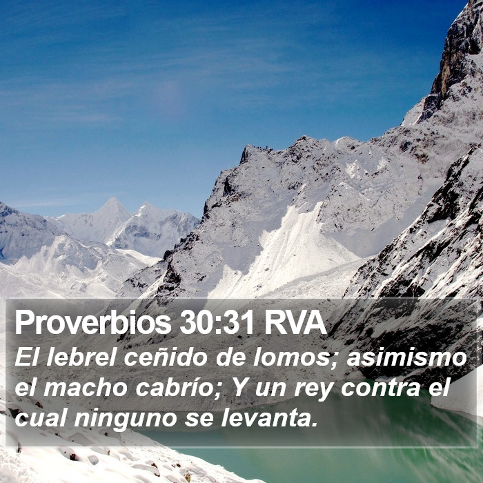 Proverbios 30:31 RVA Bible Study