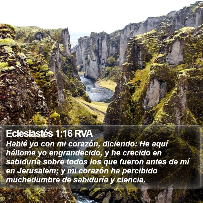 Eclesiastés 1:16 RVA Bible Study