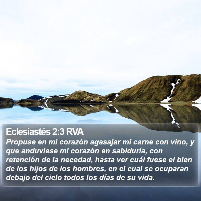 Eclesiastés 2:3 RVA Bible Study