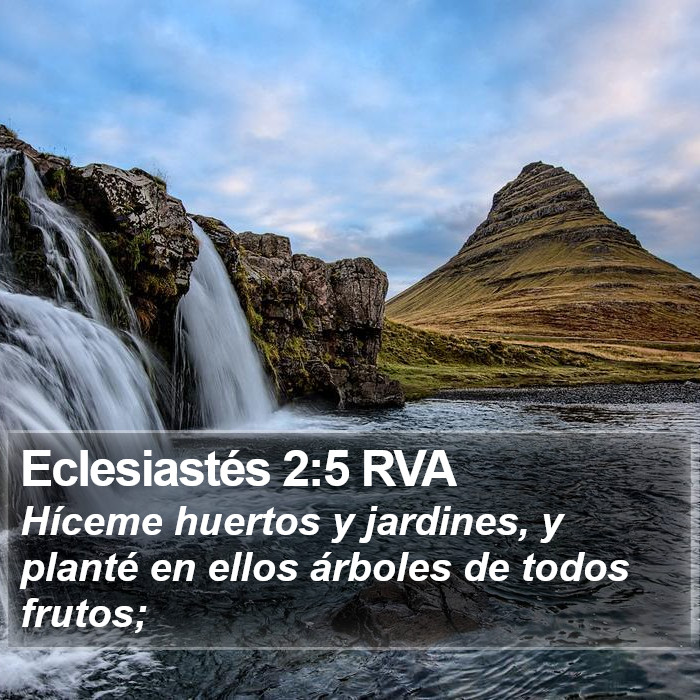 Eclesiastés 2:5 RVA Bible Study