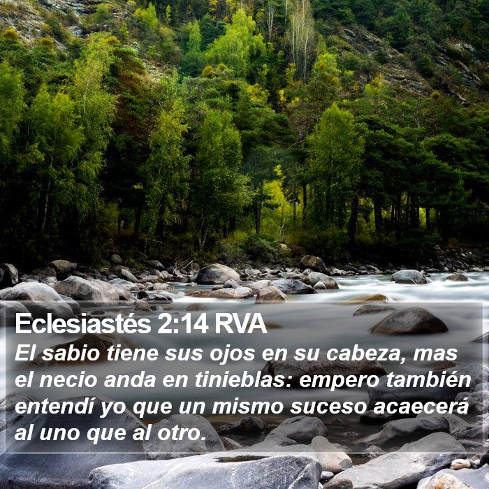 Eclesiastés 2:14 RVA Bible Study