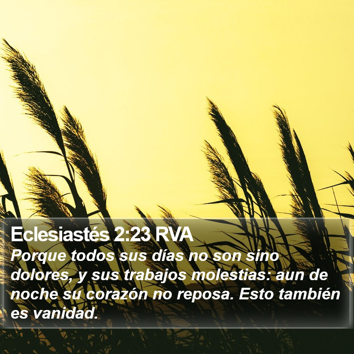 Eclesiastés 2:23 RVA Bible Study