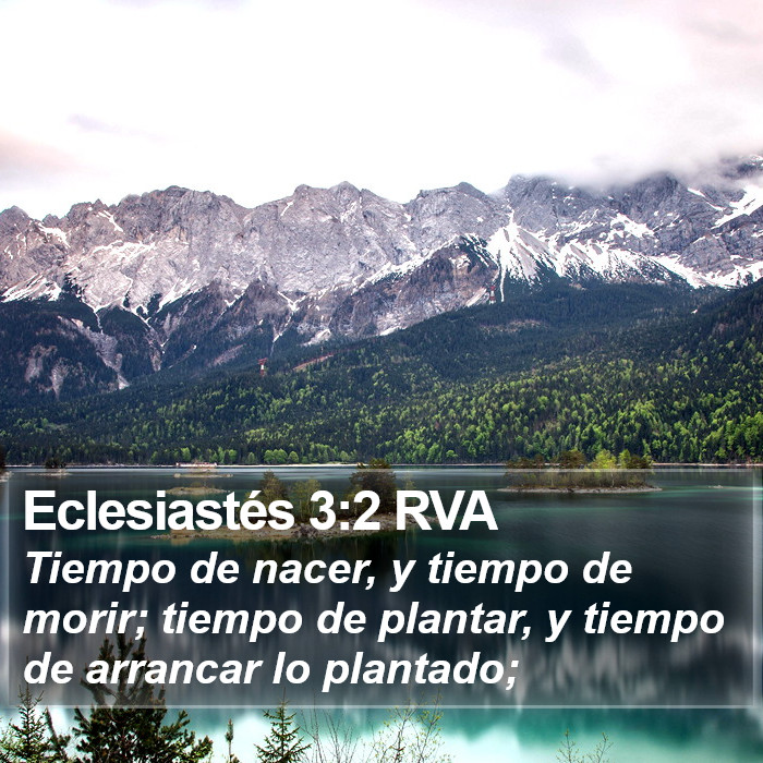 Eclesiastés 3:2 RVA Bible Study