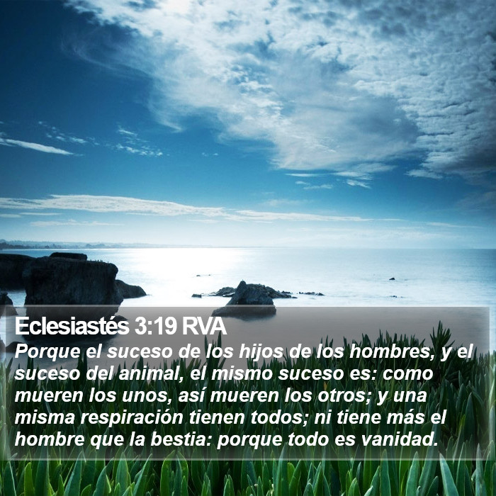 Eclesiastés 3:19 RVA Bible Study