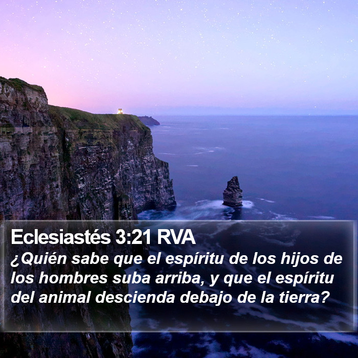 Eclesiastés 3:21 RVA Bible Study