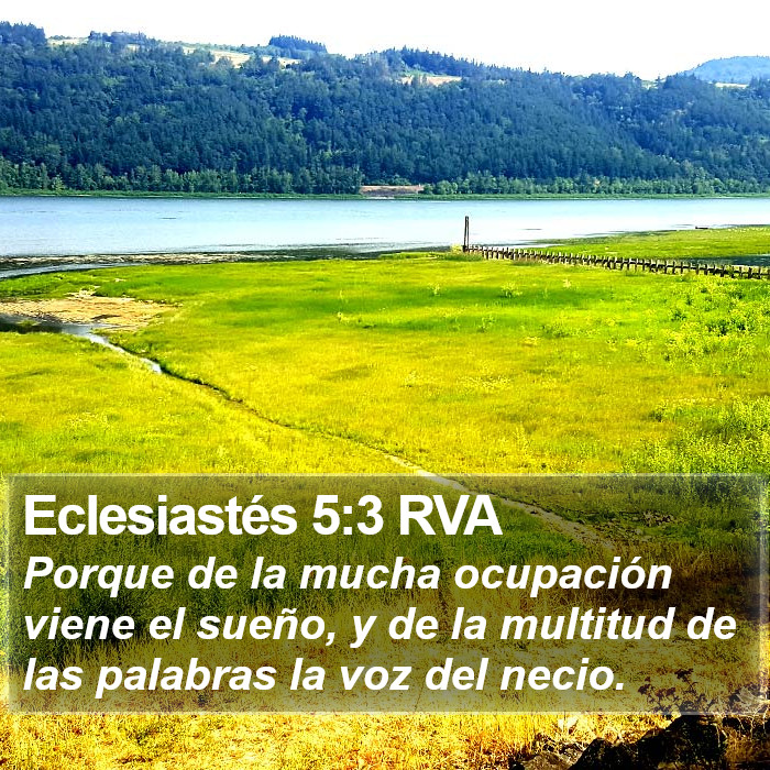 Eclesiastés 5:3 RVA Bible Study